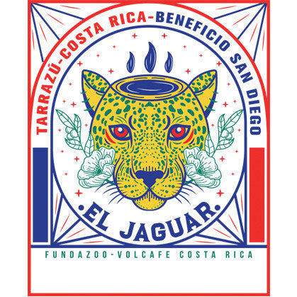 Costa Rica Tarrazú San Diego JAGUAR Honey
