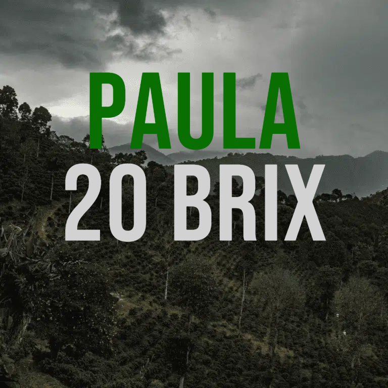 Paula 20 Brix