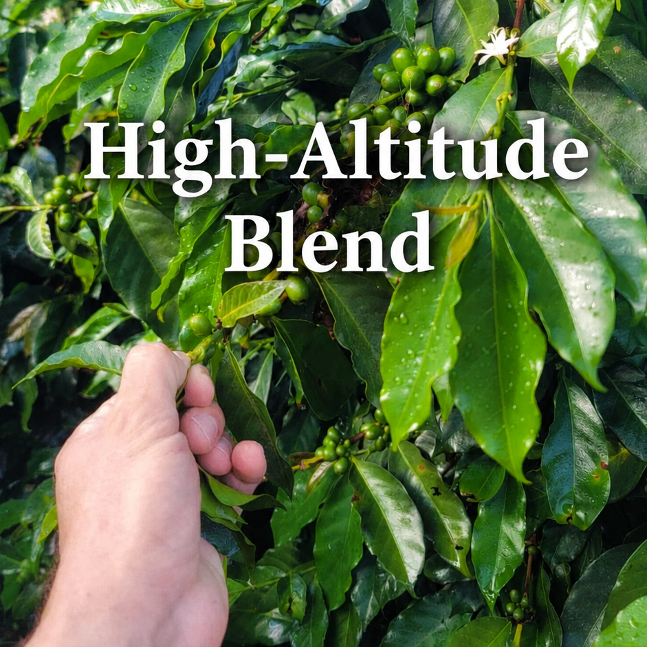 High-Altitude Blend