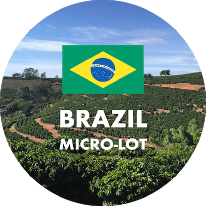 BRAZIL SALMO PLUS