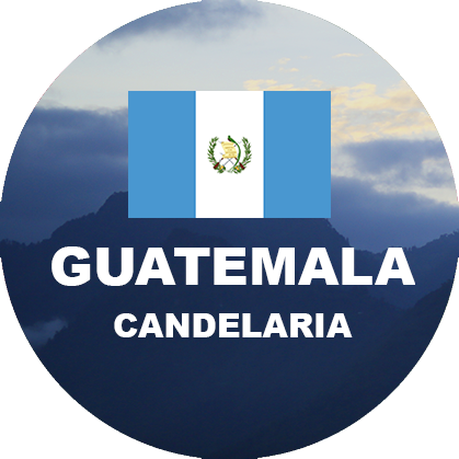 Guatemala Huehuetenango Candelaria SHB