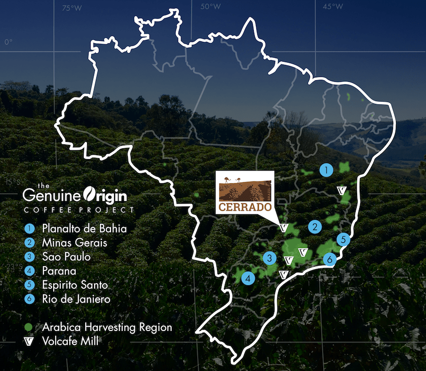 BRAZIL SALMO PLUS