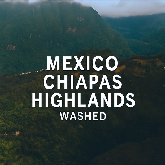 Mexico Chiapas Highlands
