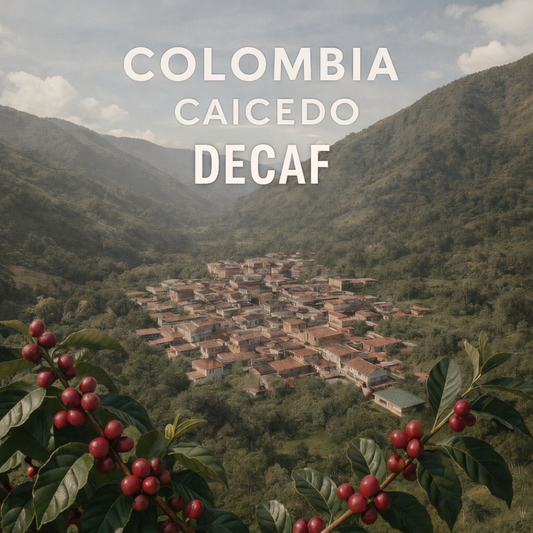 DECAF Colombia Caicedo