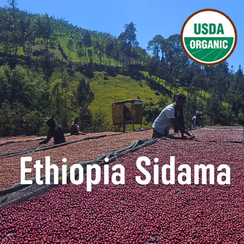 Ethiopia Saidama Bura Hamasho G1