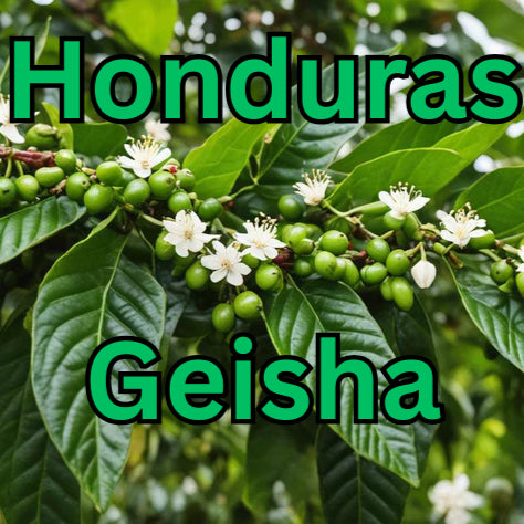 Honduras Geisha