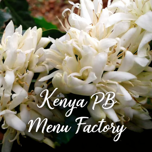 Kenya Peaberry Menu Factory 2025