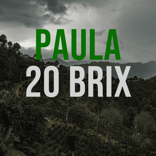 Paula 20 Brix