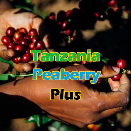 *NEW* Tanzania Peaberry Plus