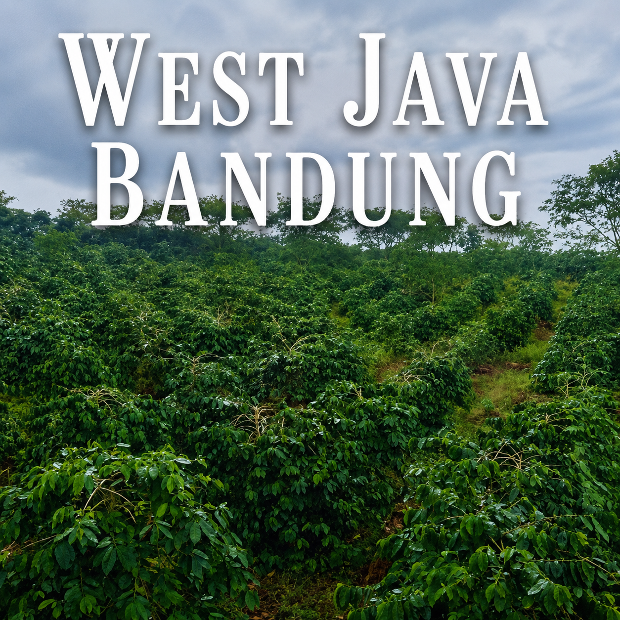 West Java Bandung