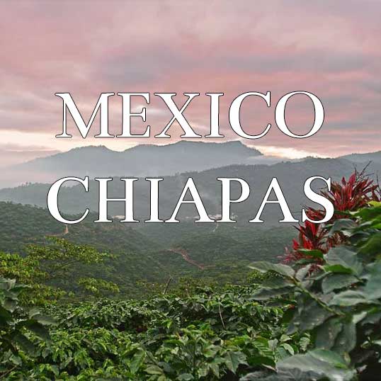 Mexico Chiapas SHG 2024