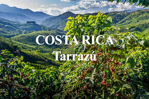 Costa Rica Tarrazú San Diego Mills Honey Processed