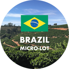 BRAZIL SALMO PLUS