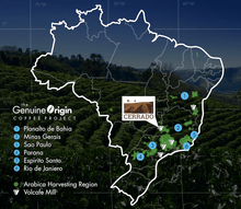 BRAZIL SALMO PLUS